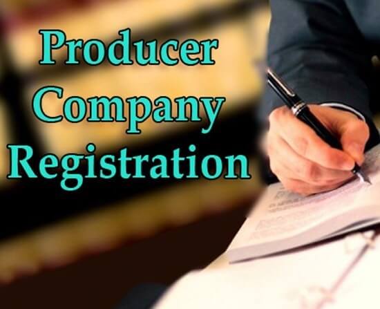 producer-company